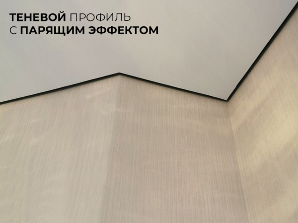 Натяжные потолки в частный дом или коттедж